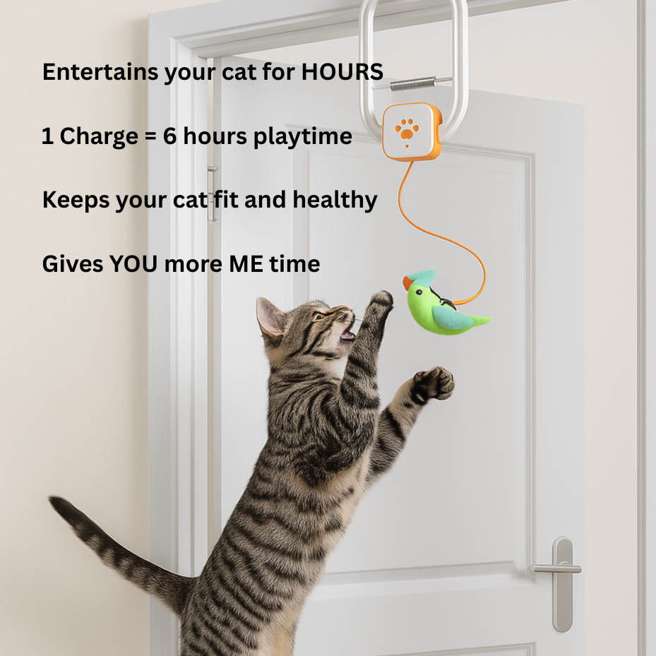 Aumee™ - Solve Your Cat's Boredom in Seconds