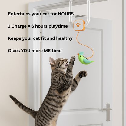 Aumee™ - Solve Your Cat's Boredom in Seconds