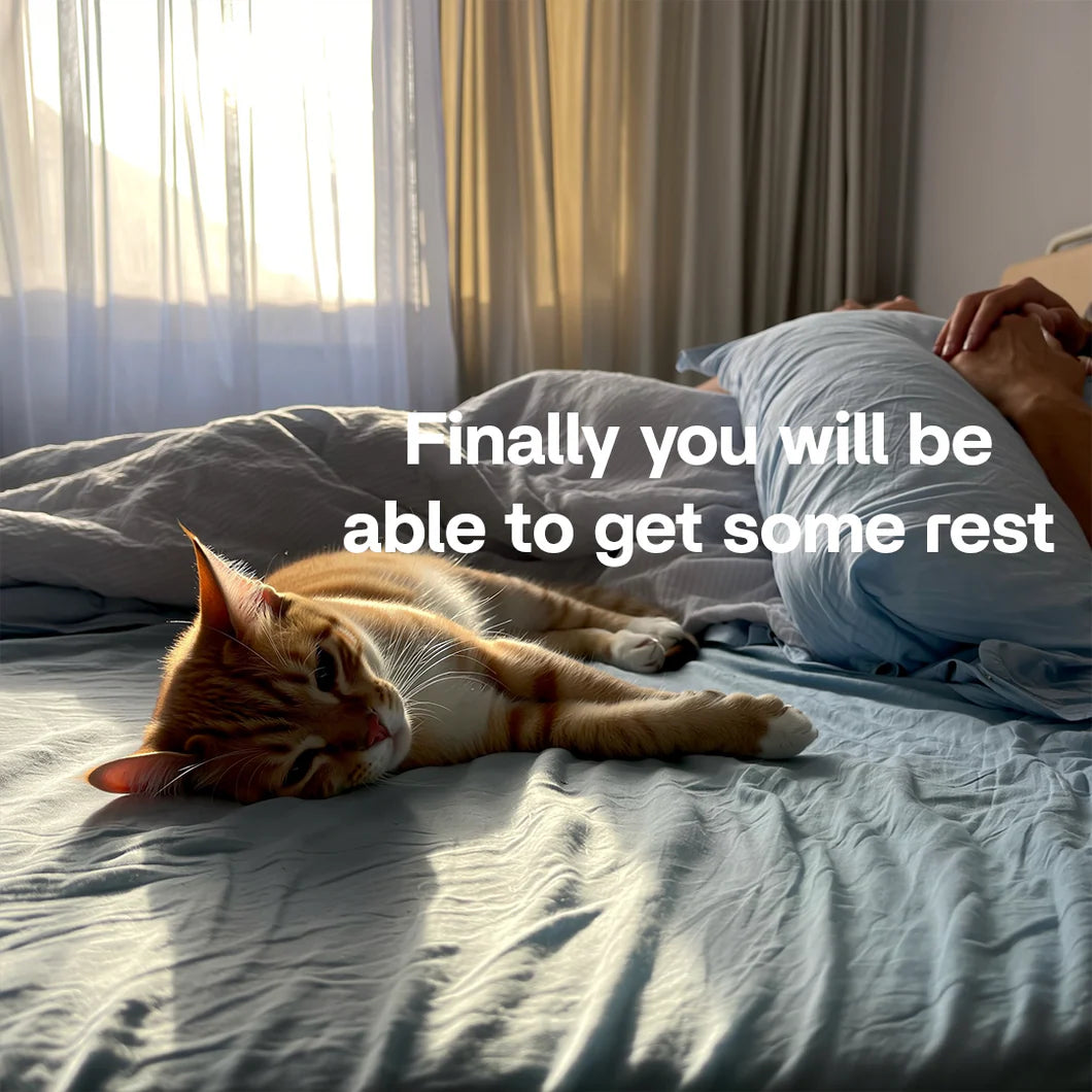 Aumee™ - Solve Your Cat's Boredom in Seconds